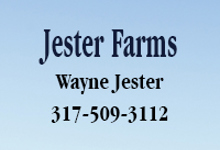 Jester